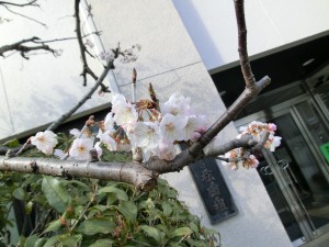 CIMG6184